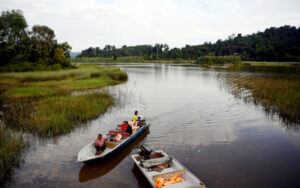 Aktiviti Memancing Di Tasik Chini, Pahang Aktiviti Memancing Di Tasik Chini, Pahang