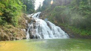 Panduan Lengkap Melancong Ke Cameron Highlands Panduan Lengkap Melancong Ke Cameron Highlands