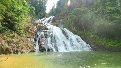 Panduan Lengkap Melancong Ke Cameron Highlands