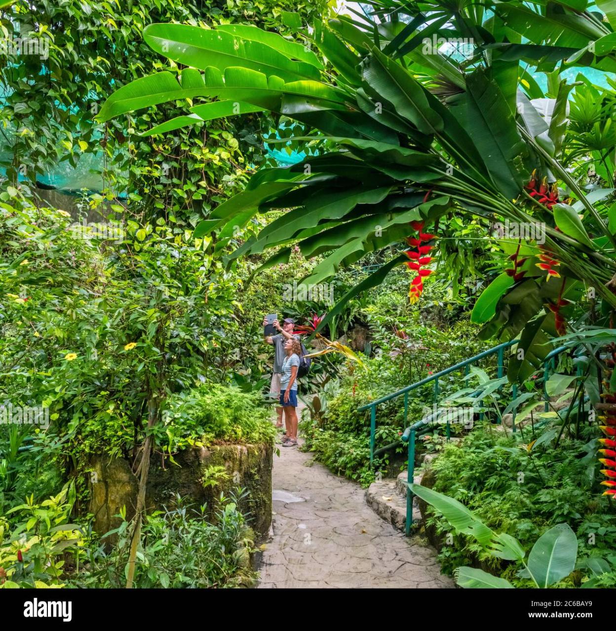 Taman Rama-Rama Kuala Lumpur: Surga Bagi Pencinta Alam Taman Rama-Rama Kuala Lumpur: Surga Bagi Pencinta Alam