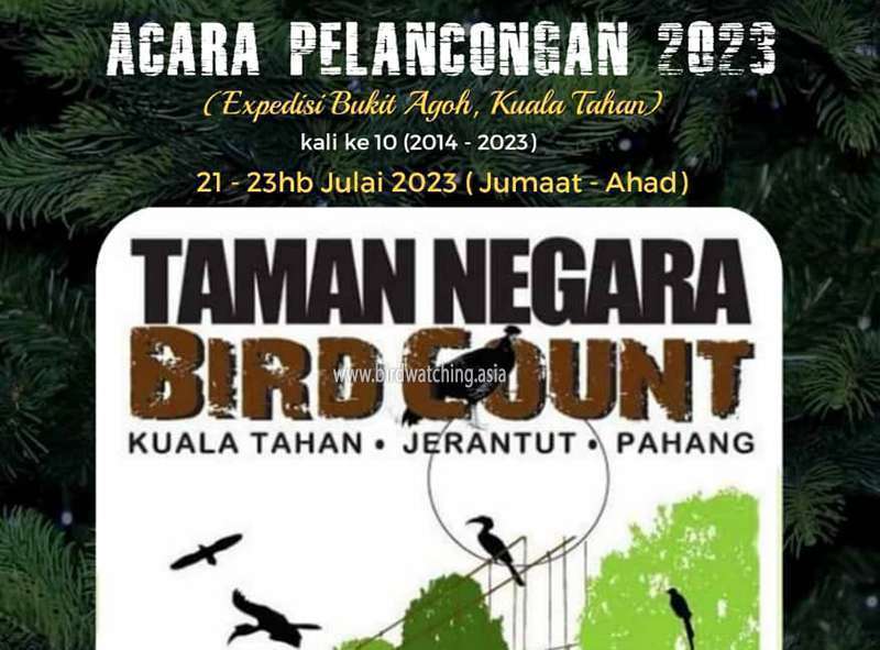 Panduan Melakukan Bird Watching Di Taman Negara Panduan Melakukan Bird Watching Di Taman Negara