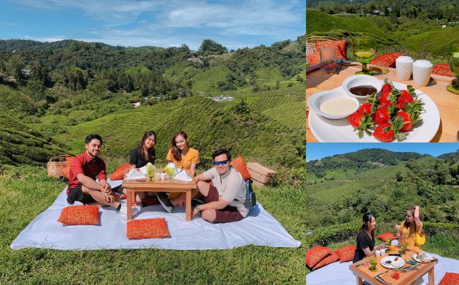 Resort Mewah Dengan Pemandangan Gunung Di Cameron Highlands Resort Mewah Dengan Pemandangan Gunung Di Cameron Highlands